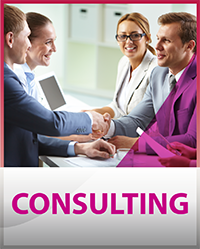 service consulting_Satmia-dz